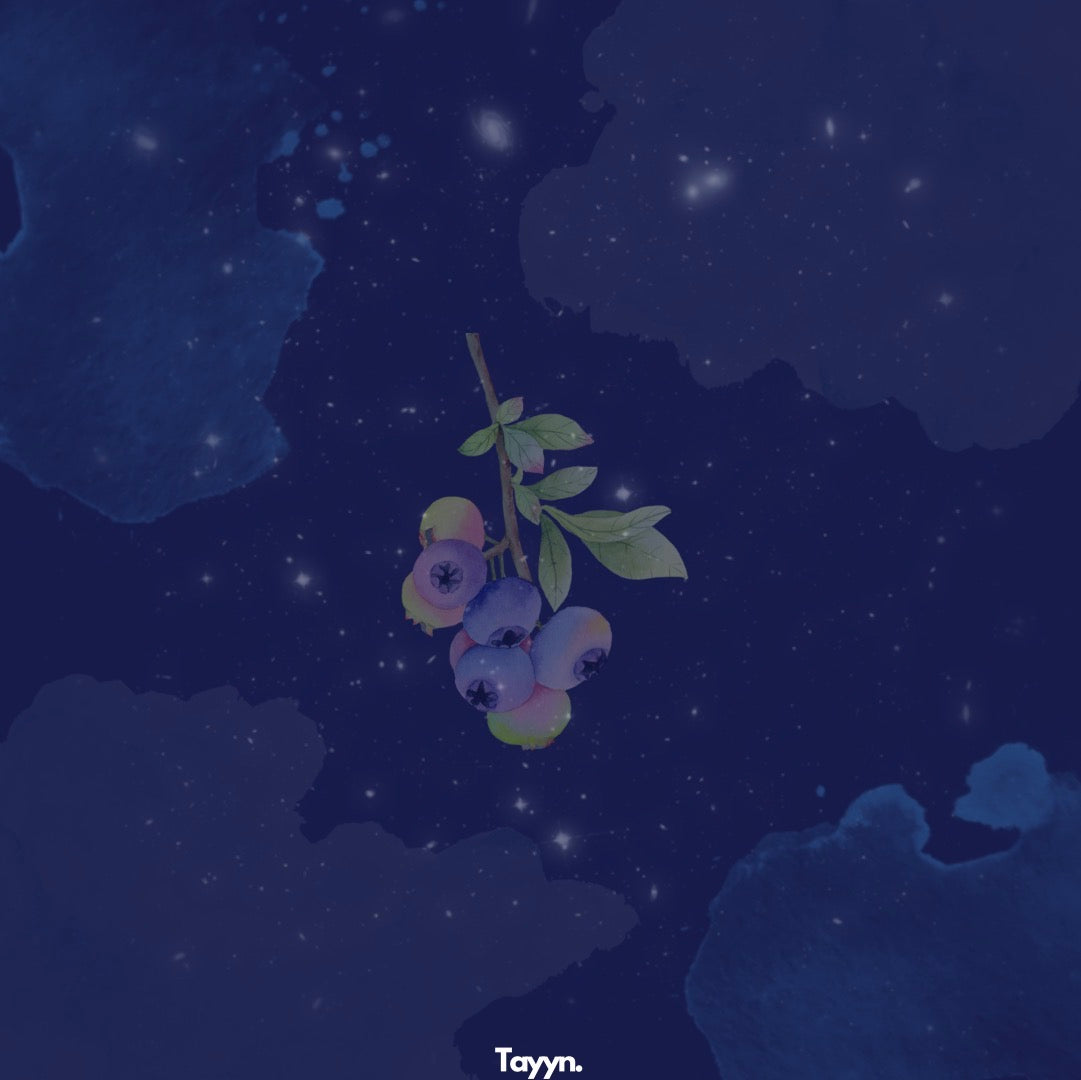 Blueberry Duftanhänger