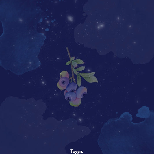 Blueberry Duftanhänger